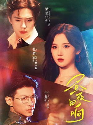 【昼夜回响】76集短剧全网免费看全集