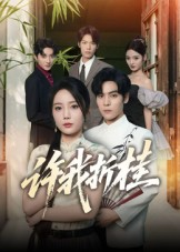 【许我折桂】70集短剧全集在线免费观看