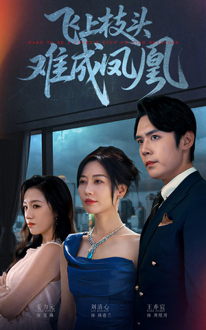 【飞上枝头难成凤凰】47集免费在线短剧全集赏