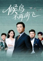 【候鸟不再南飞】80集精彩短剧免费观全