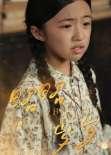 【昭昭岁岁】30集短剧在线全集免费览