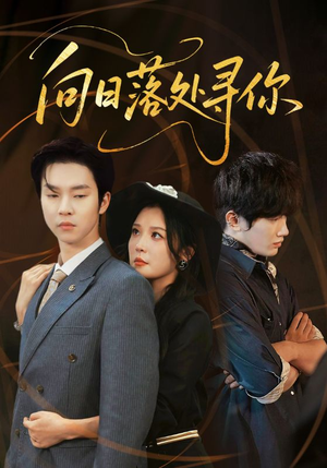 【向日落处寻你】70集短剧在线免费观瞧