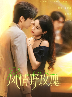 揉碎玫瑰(70集) 揉碎玫瑰(70集)第一季