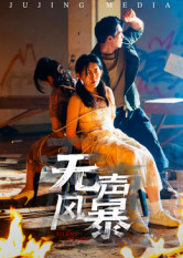 【无声风暴】33集高清短剧在线观看