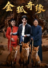 【金狐奇缘】42集短剧免费全集高清直看