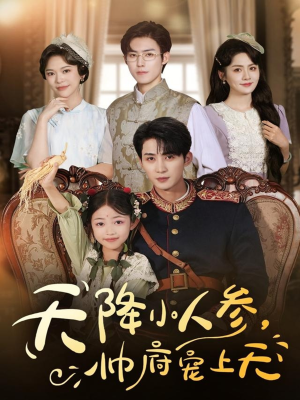 【天降小人参，帅府宠上天】83集短剧免费在线完整版观看