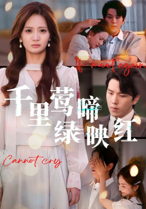 【千里莺啼绿映红】63集短剧线上免费全集观