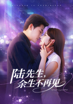【陆先生，余生不再见】88集短剧免费在线全集直看